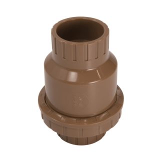 Válvula Retenção Vertical PVC Higiban 3/4
