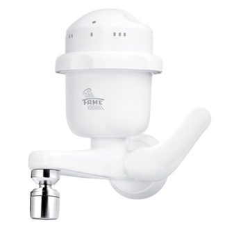 Torneira Elétrica Fame 1/4V Bica Reta 220V